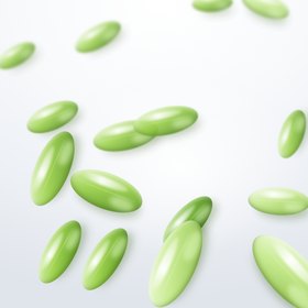 Softgelatin Capsules — representative product photograph